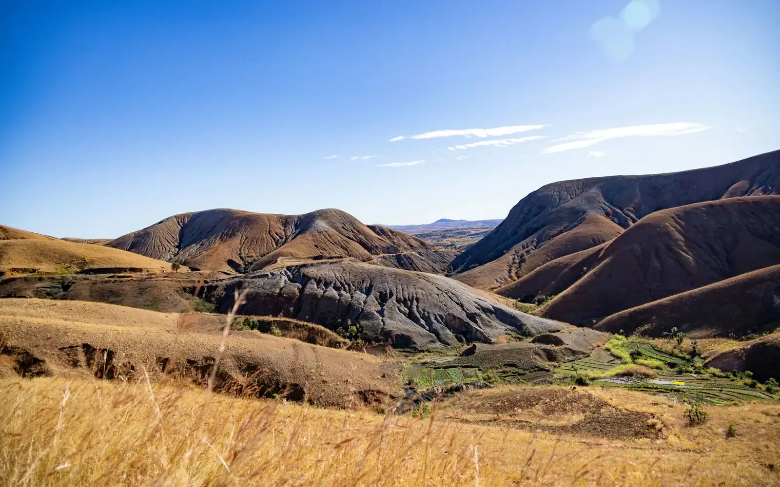 Dry golden grassland running up into bare hills