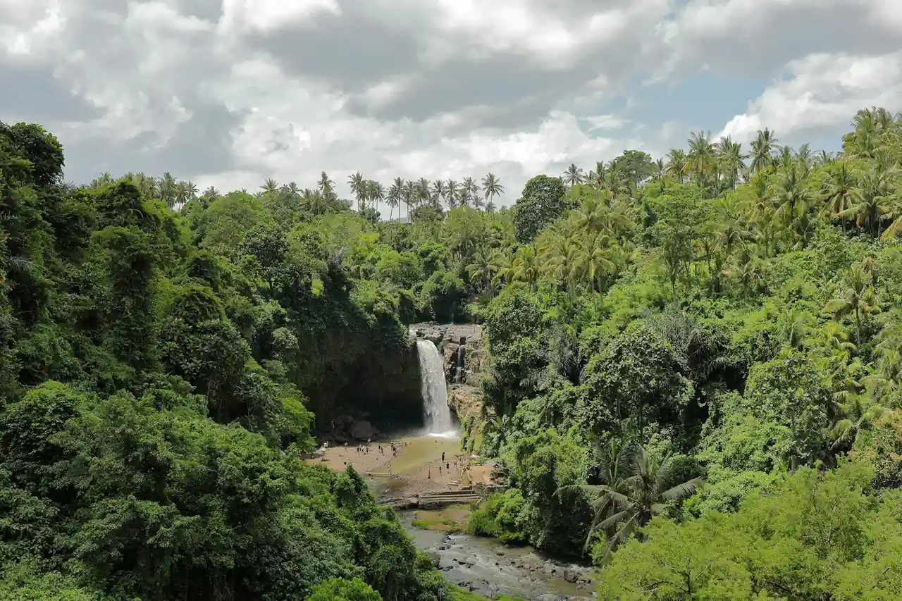 Waterfall dropping through thick jungle canopy
