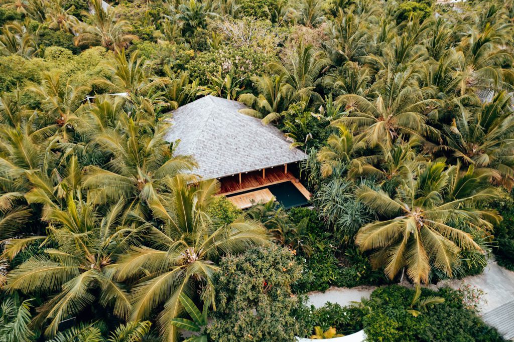 Jungle and reef shoreline on Moyo Island