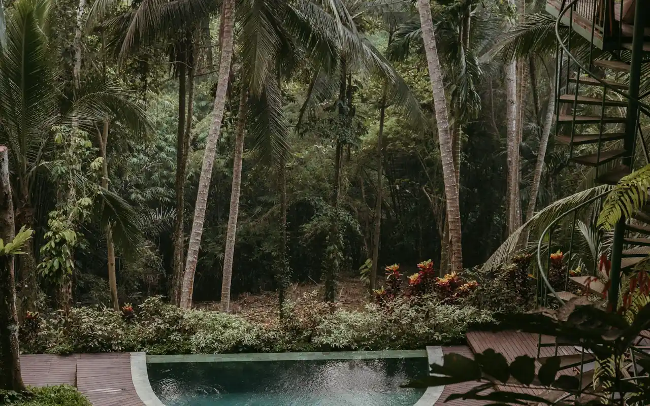 Long pool set into dense palm garden