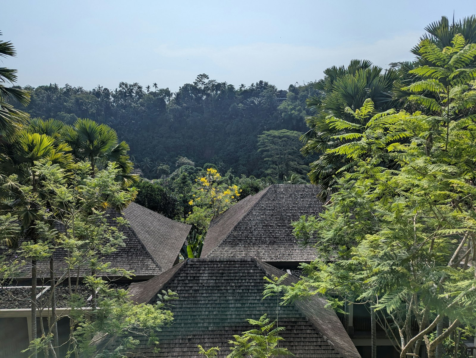 A group of huts in the middle of a forest