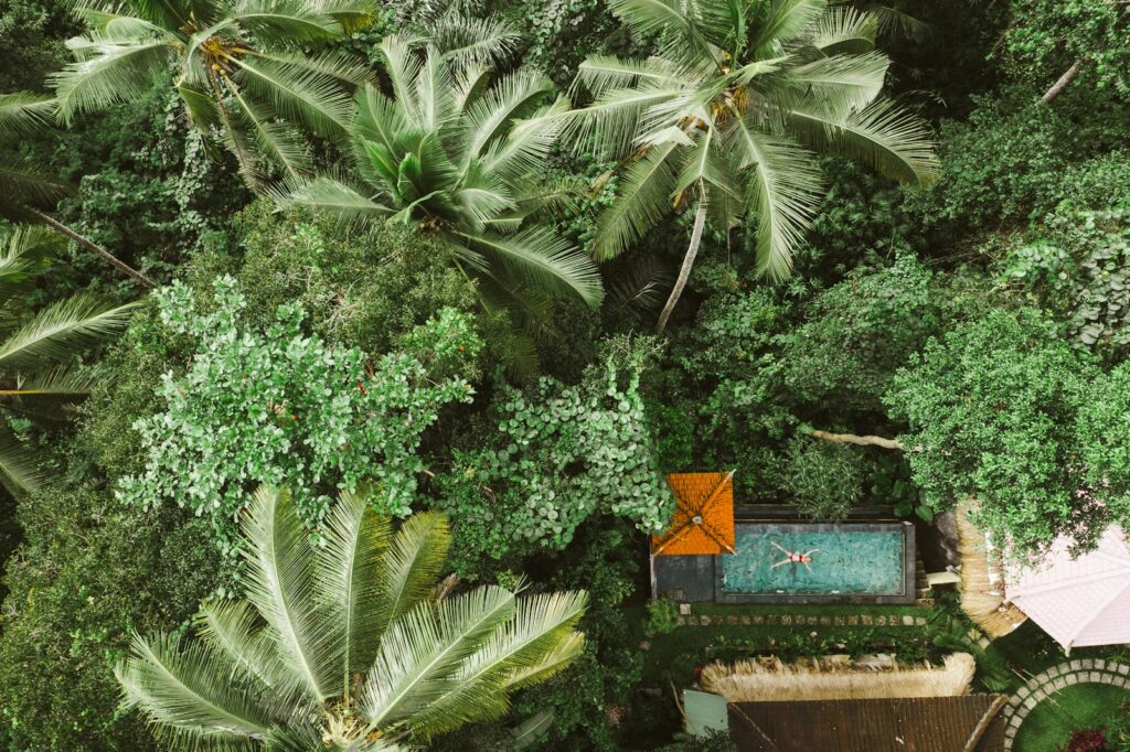 Sumbawa Eco-Luxury Resort Guide: Where To Stay Well
