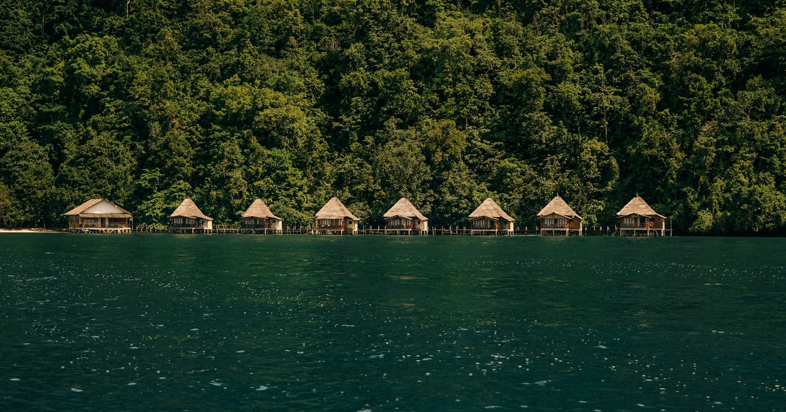 a row of huts sitting on top of a lush green hillside