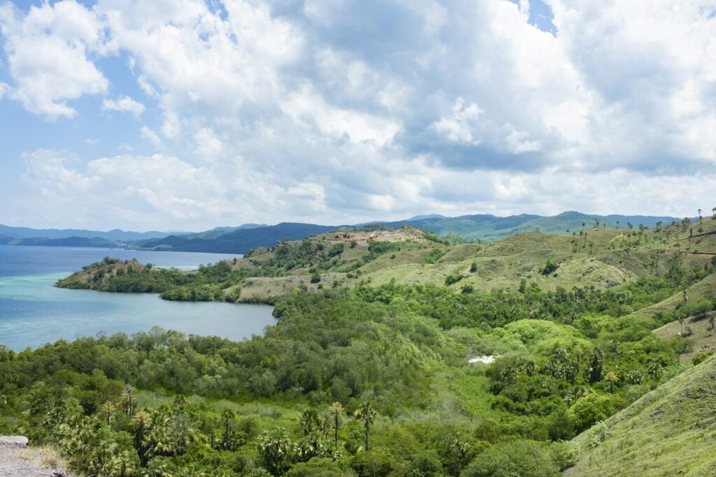 Sumbawa Wild Honey & Culture Guide