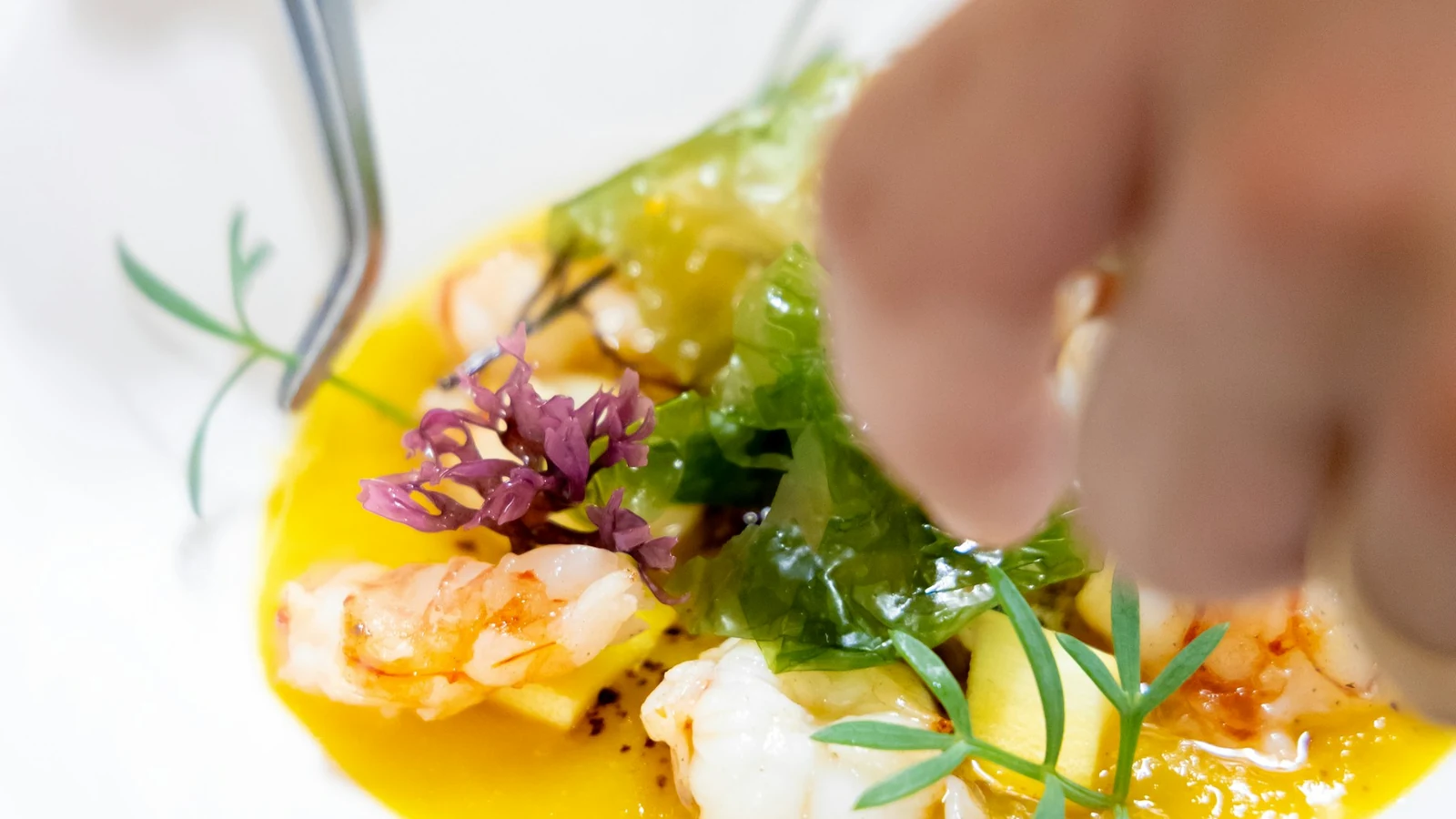 Private Chef Services on Luxury Yacht Charters: A Detailed Guide for 2027